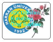 Kurultay Ozel Sayfasi.